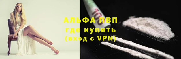 PSILOCYBIN Беломорск