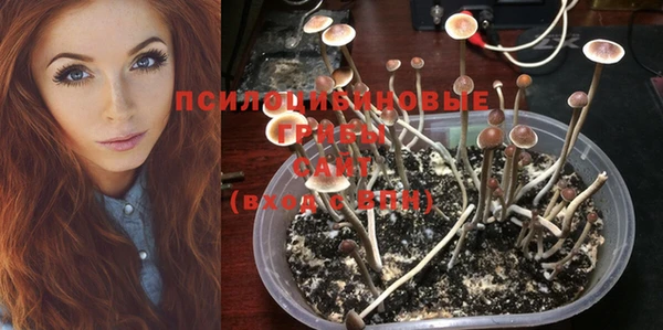 spice Белокуриха