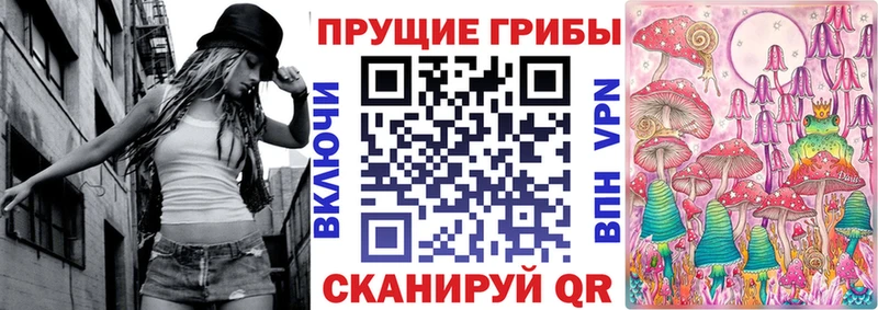Псилоцибиновые грибы Cubensis  Купить где  Лагань 